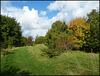 a walk in October