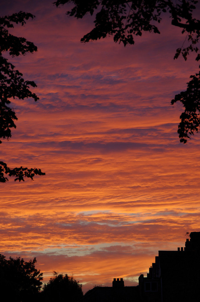 Sydenham sunset 3