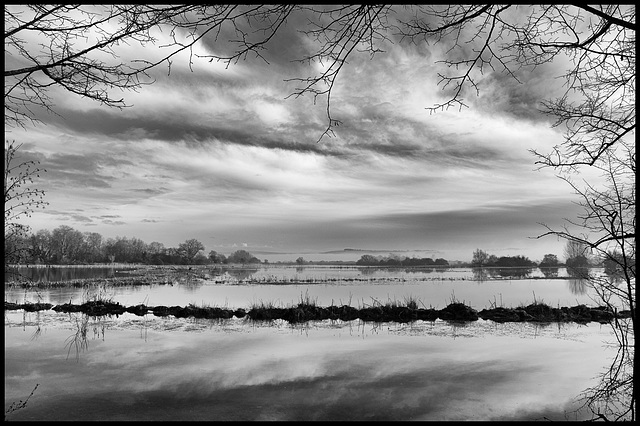 Flooded fields in winter light - 4