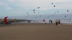 kites a-plenty