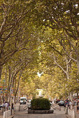 Cours Mirabeau, Aix en Provence