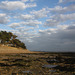 par beau temps Noirmoutier