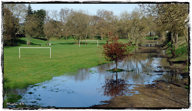 SAINTE GEMMES sur LOIRE