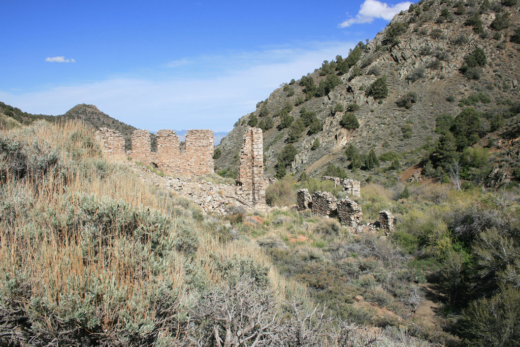 IMG 7857