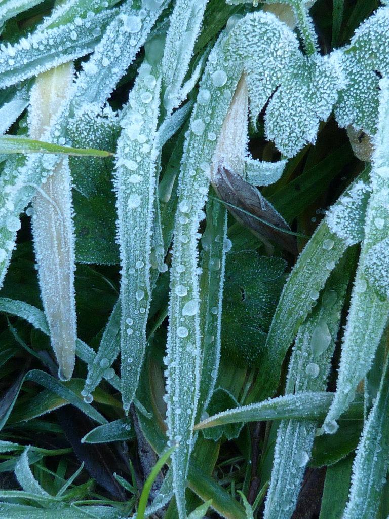 .... und einem Eisdekor