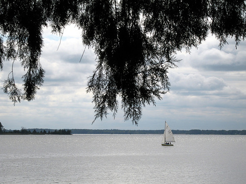 Pamlico River