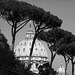 St. Peters backside - view from the Viale Vaticano