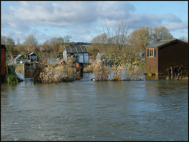 well-watered allotments