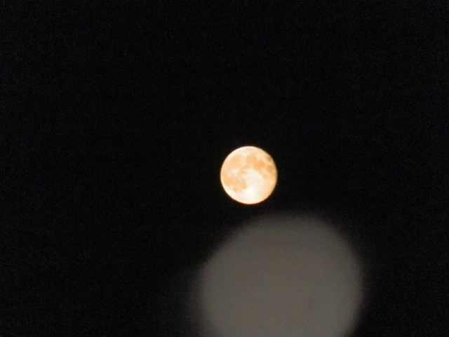 mandfmsaug452012 (1222)