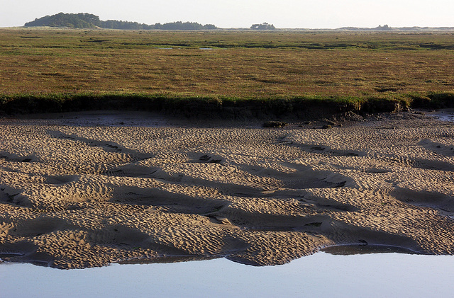 Saltmarsh