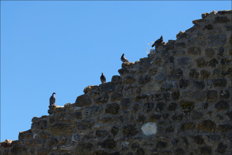 Castelo de S. Jorge