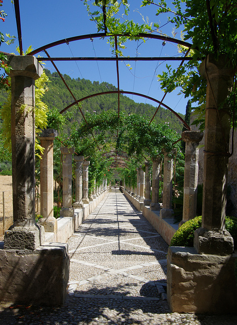 pergola