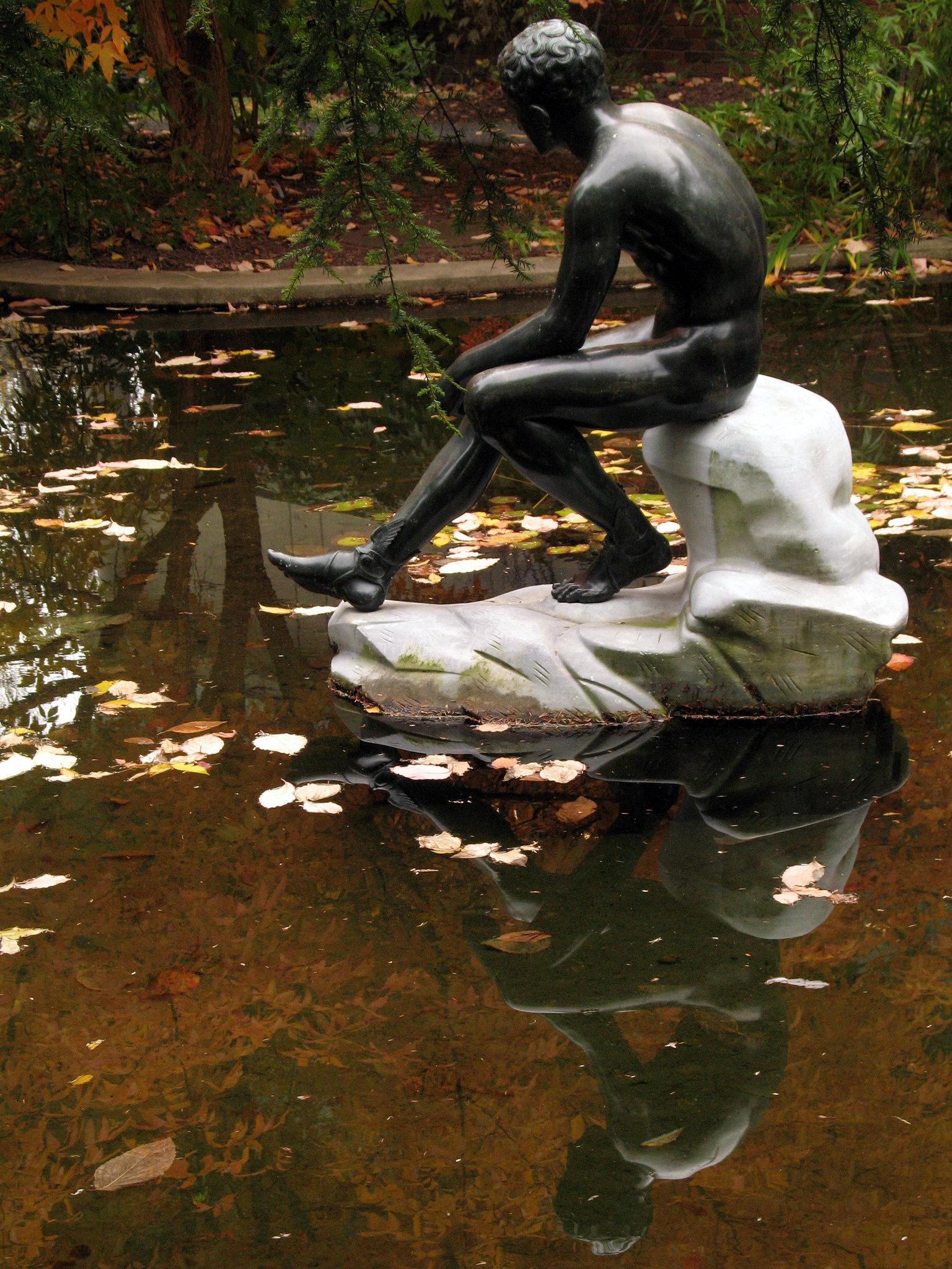 Autumn Reflection