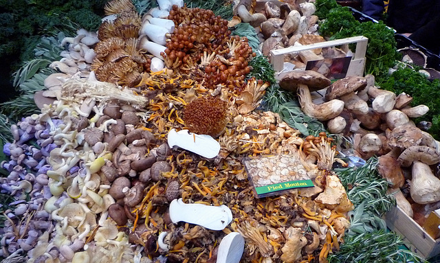 Mushrooms at Borough Market