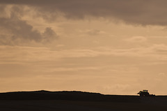 Late evening farming at Hanglam