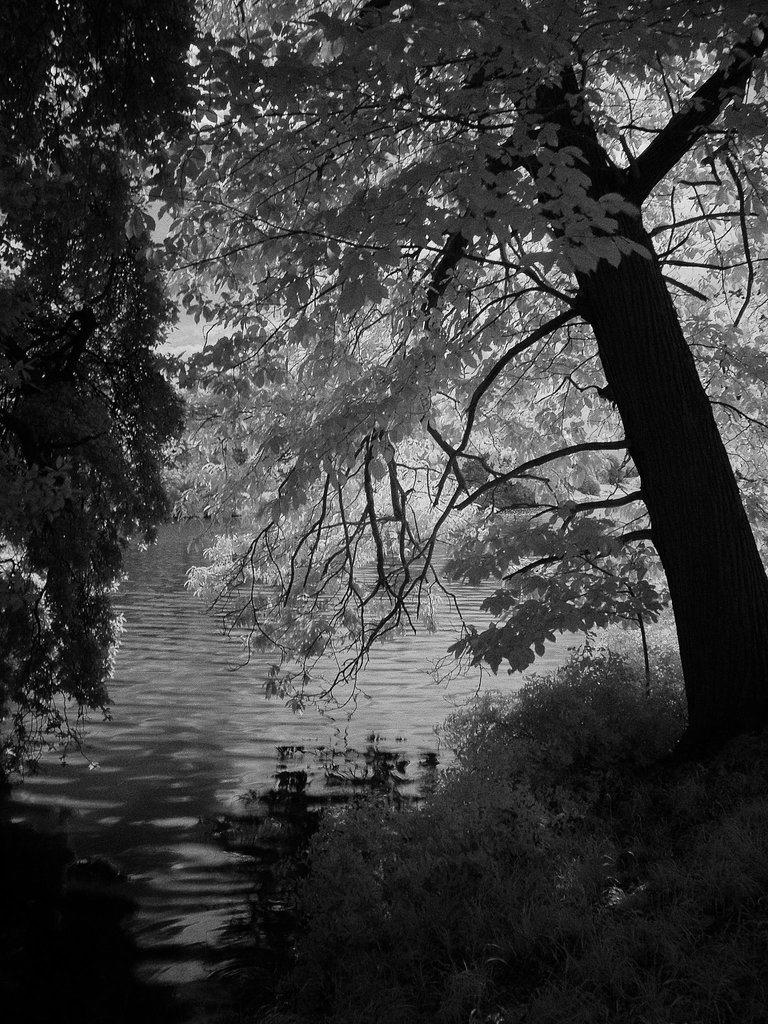 20090825_10