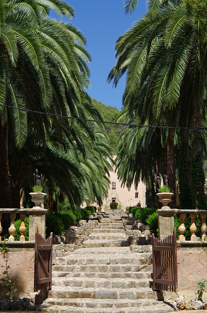 steps through the terraced garden