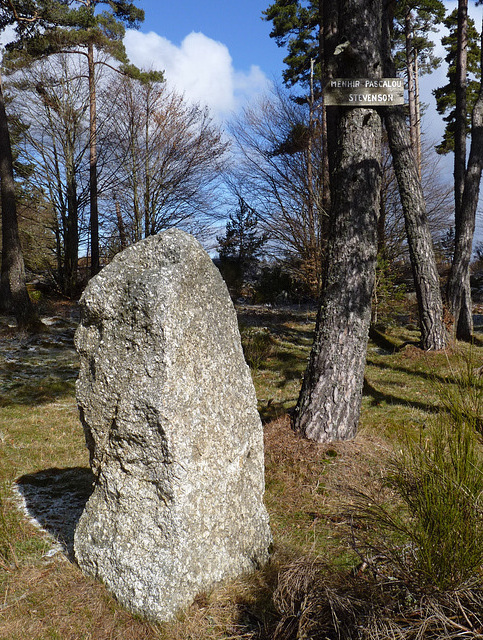 Near Fouzillac - Menhir Pascalou