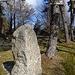 Near Fouzillac - Menhir Pascalou