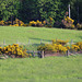 220 yards to gate with 400mm equiv.lens full image uncropped