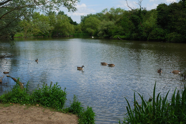 Hainault Country Park Lake