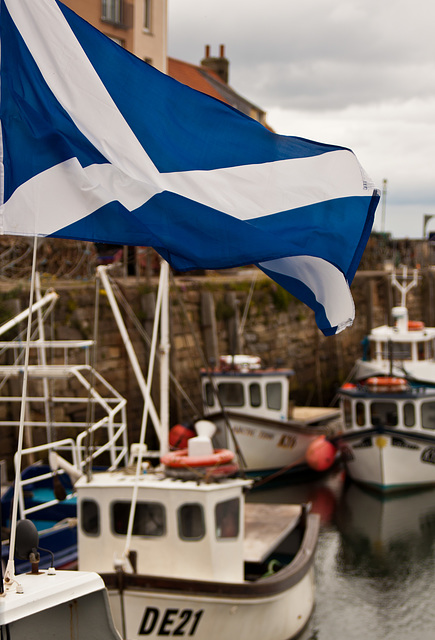 Happy St Andrew's Day!