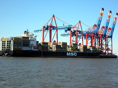 Containerschiff   MSC  KERRY