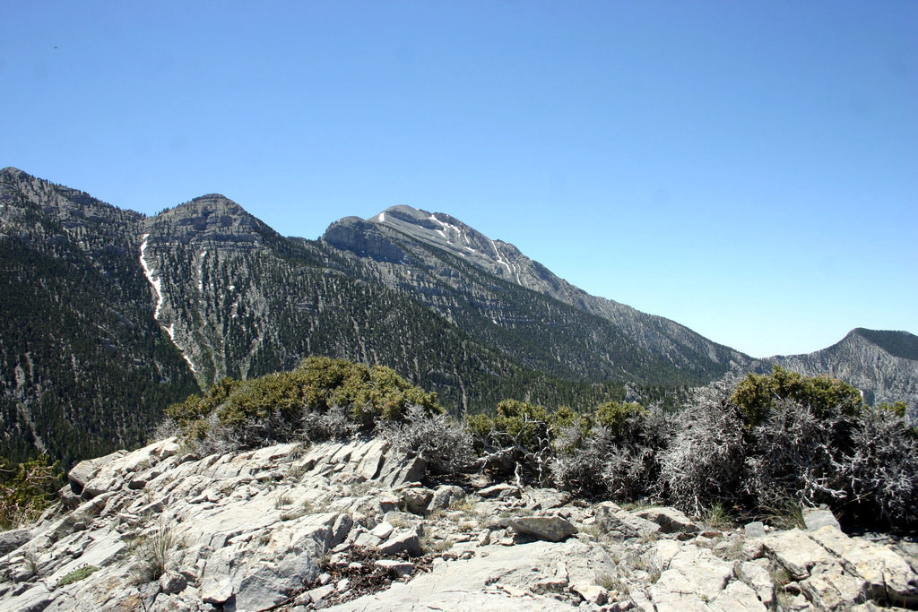 Charleston Peak