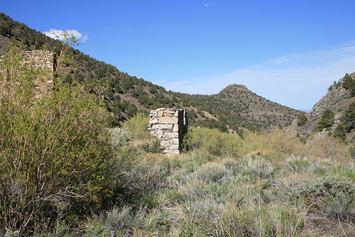 IMG 7866