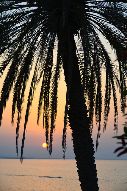Oman 2013 – Sunset