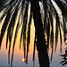 Oman 2013 – Sunset