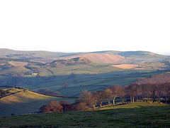 View from Bull Hill