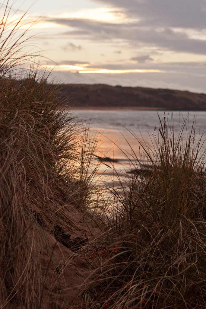 Sunset through the dunes