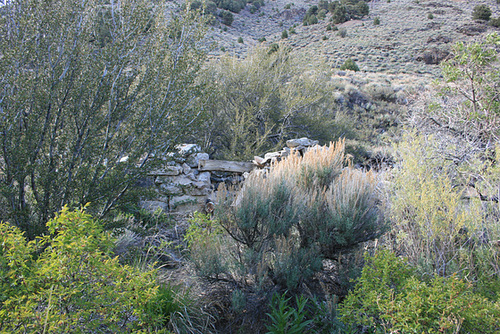 IMG 7872