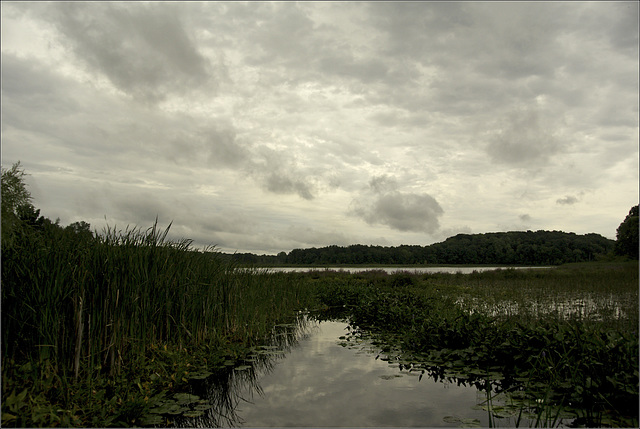 Three Lakes, near Richland