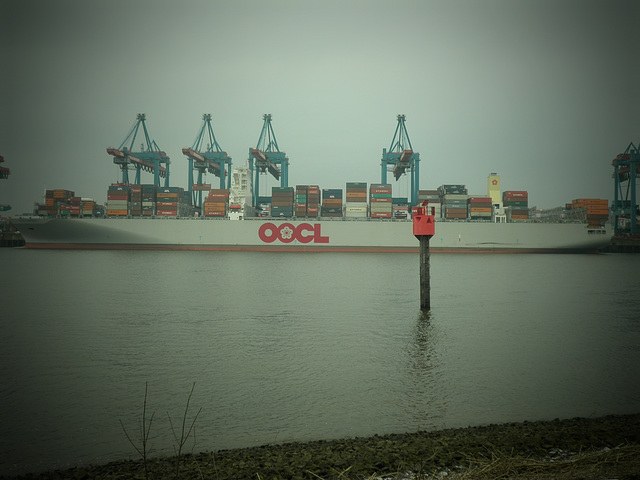 Containerschiff   OOCL  BANGKOK