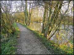 river path at Fiddler's Island