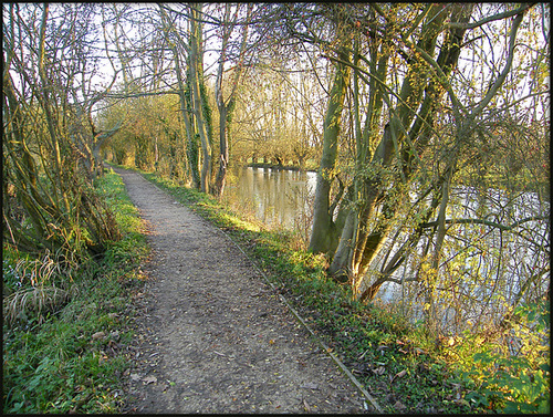 river path at Fiddler's Island