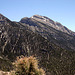 Charleston Peak