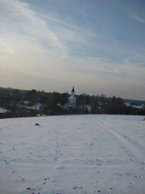 Sperenberg - Wildspuren