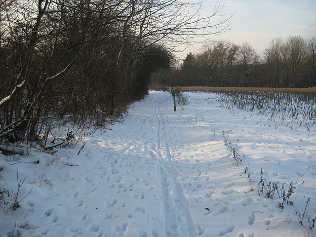 Bodengeopfad - Sperenberg