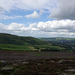 Glossop from Worm Stones