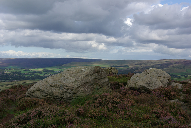 Worm Stones