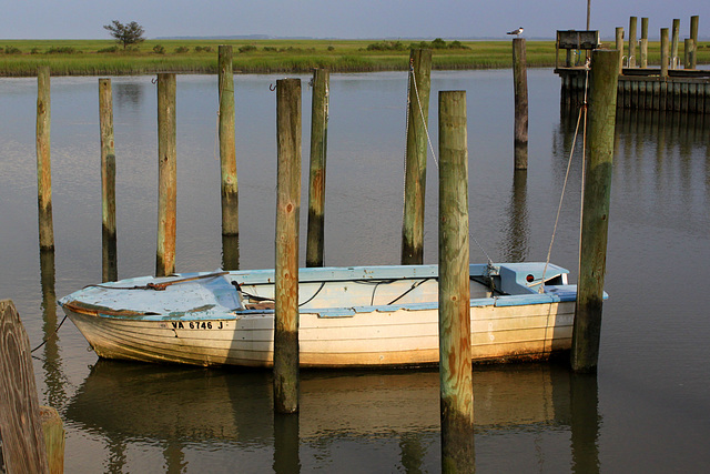 Wachapreague Harbor