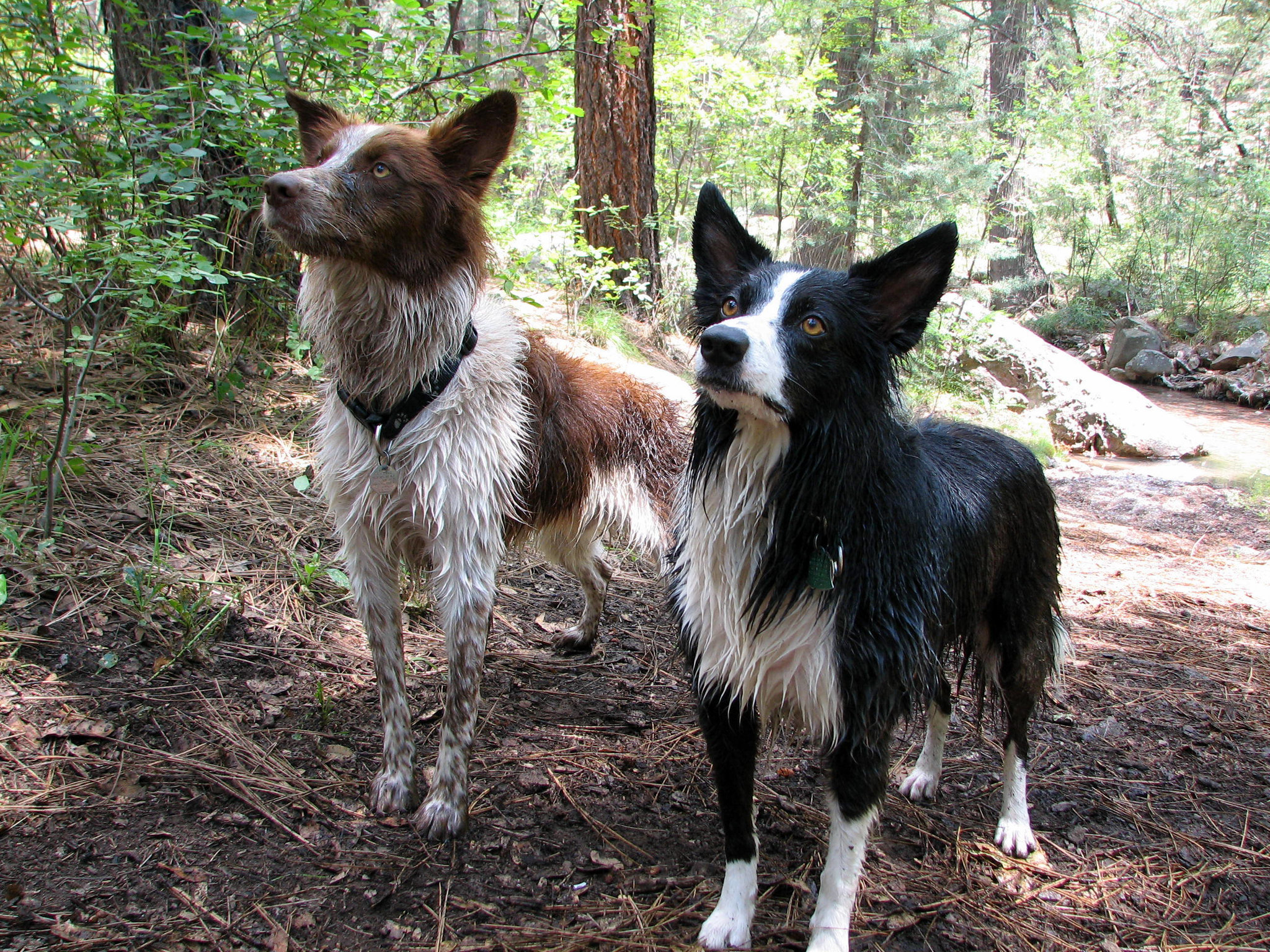 Jake and Idaho