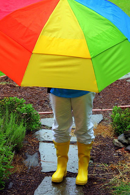 Walking in the rain