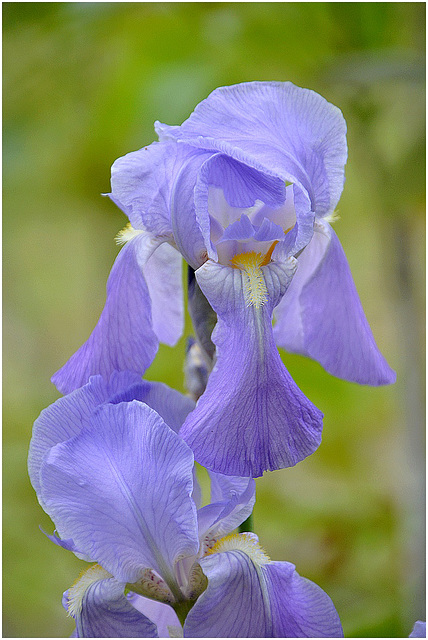 Bleu ... mais pas trop !