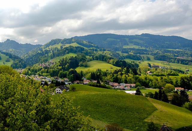 La verte Gruyères