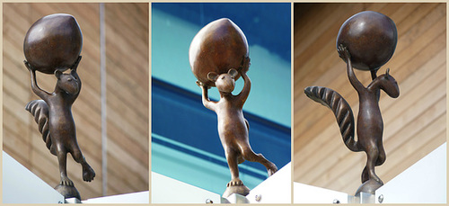 Squirrel Ballet - 9 June 2013