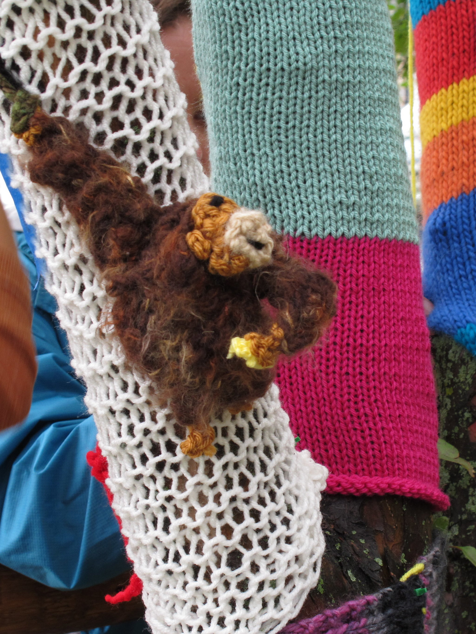 Orangutan